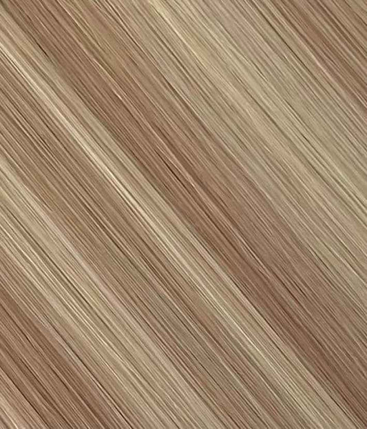 Champagne on Ice - Blendé Hair UAE